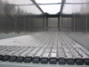 Keith USA 26 PlanKeik System HDI Keith Walking Floor USA 26 Plank System HDI- Revision Set.
