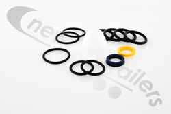 03878101 Keith Walking Floor RFII Check Valve Assembly External Seal Kit
